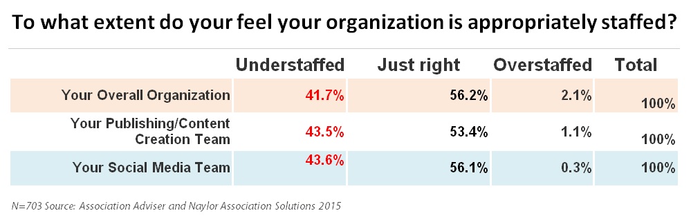 To what extent do you fell your organization is appropriately staffed?