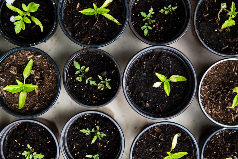 How to Start or Grow Your Online Career Center