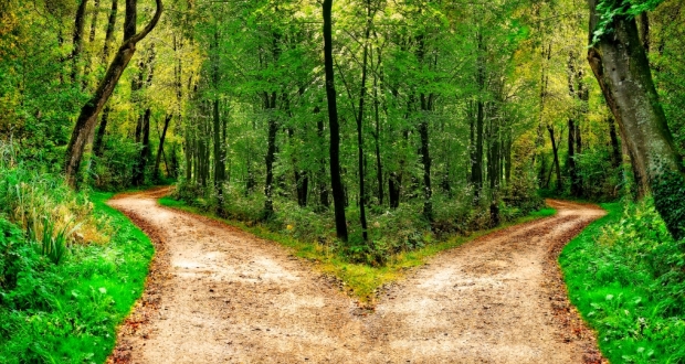 Defining the Process of Change
