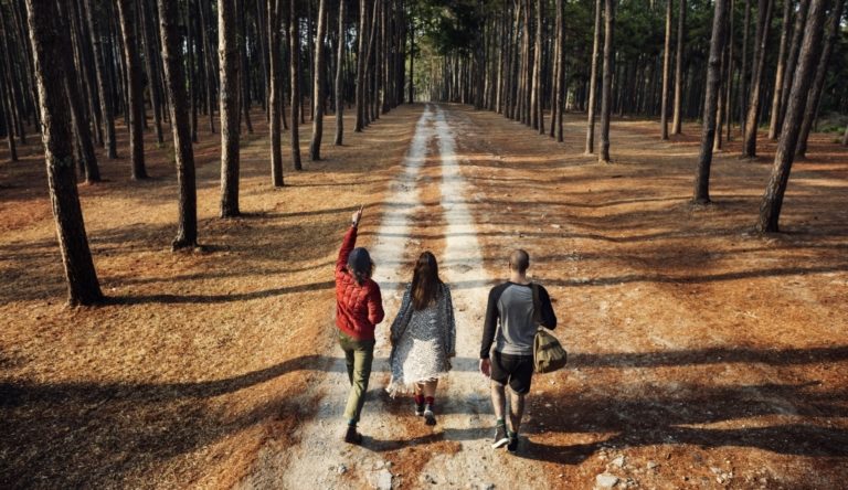 Leading with Curiosity in Challenging Moments