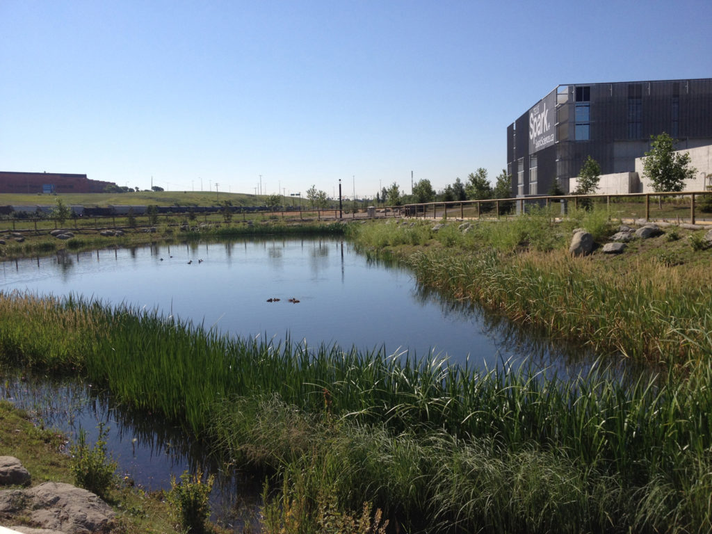 Alberta Association Of Landscape Architects Spark Building and lake