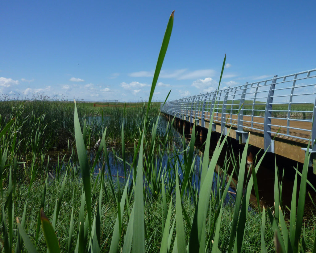 Alberta Association of Landscape Architects Rotary-Mattamy Greenway_Calgary_2016_CarsonMcCulloch