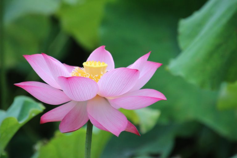 Empathetic Marketing: Cultivating Creativity and Connection