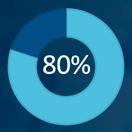 80 percent pie chart