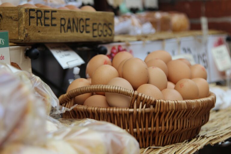 Revenue Diversification: It’s Time to Spread Out Your Eggs!