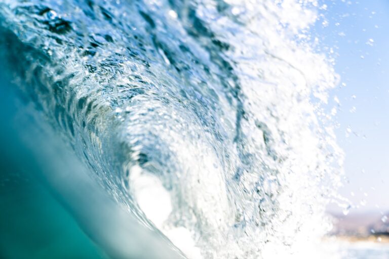 The Largest Membership Growth Wave is Coming
