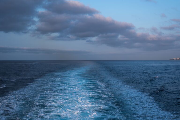 Navigating Unchartered Waters: The Contemporary Challenges Facing Professional Associations